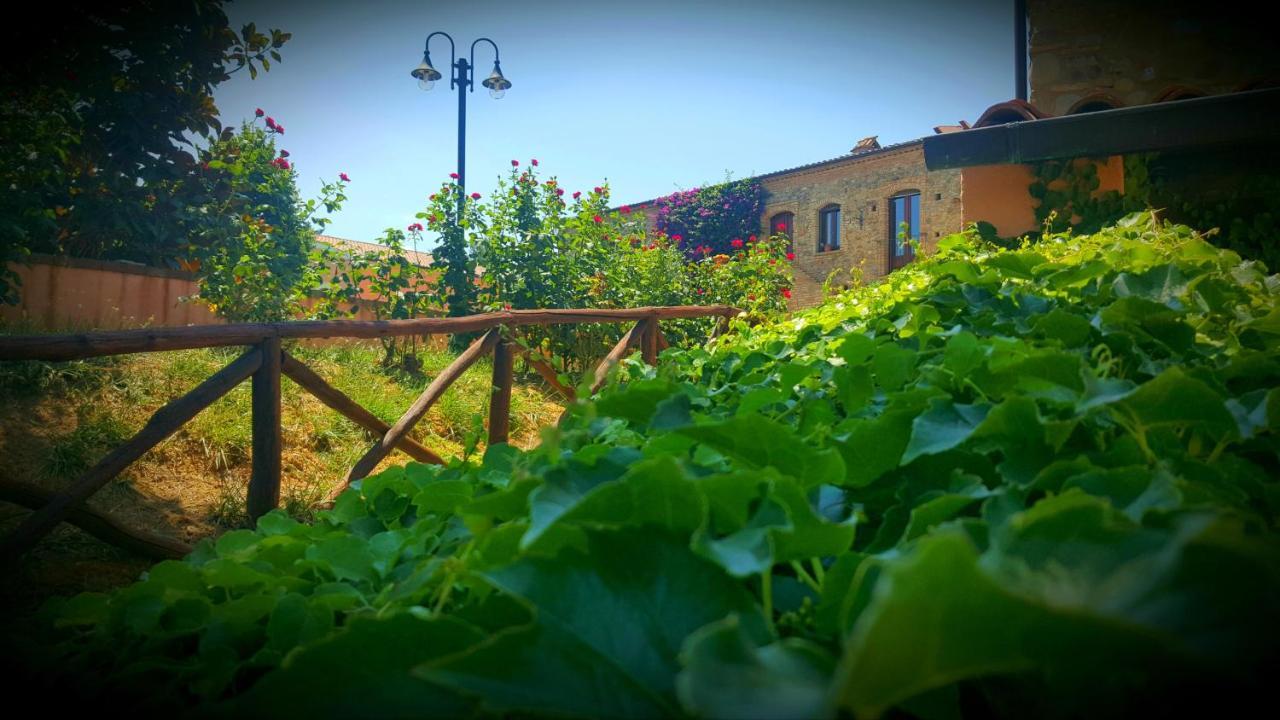 La Masseria Lolivia Senise Dış mekan fotoğraf